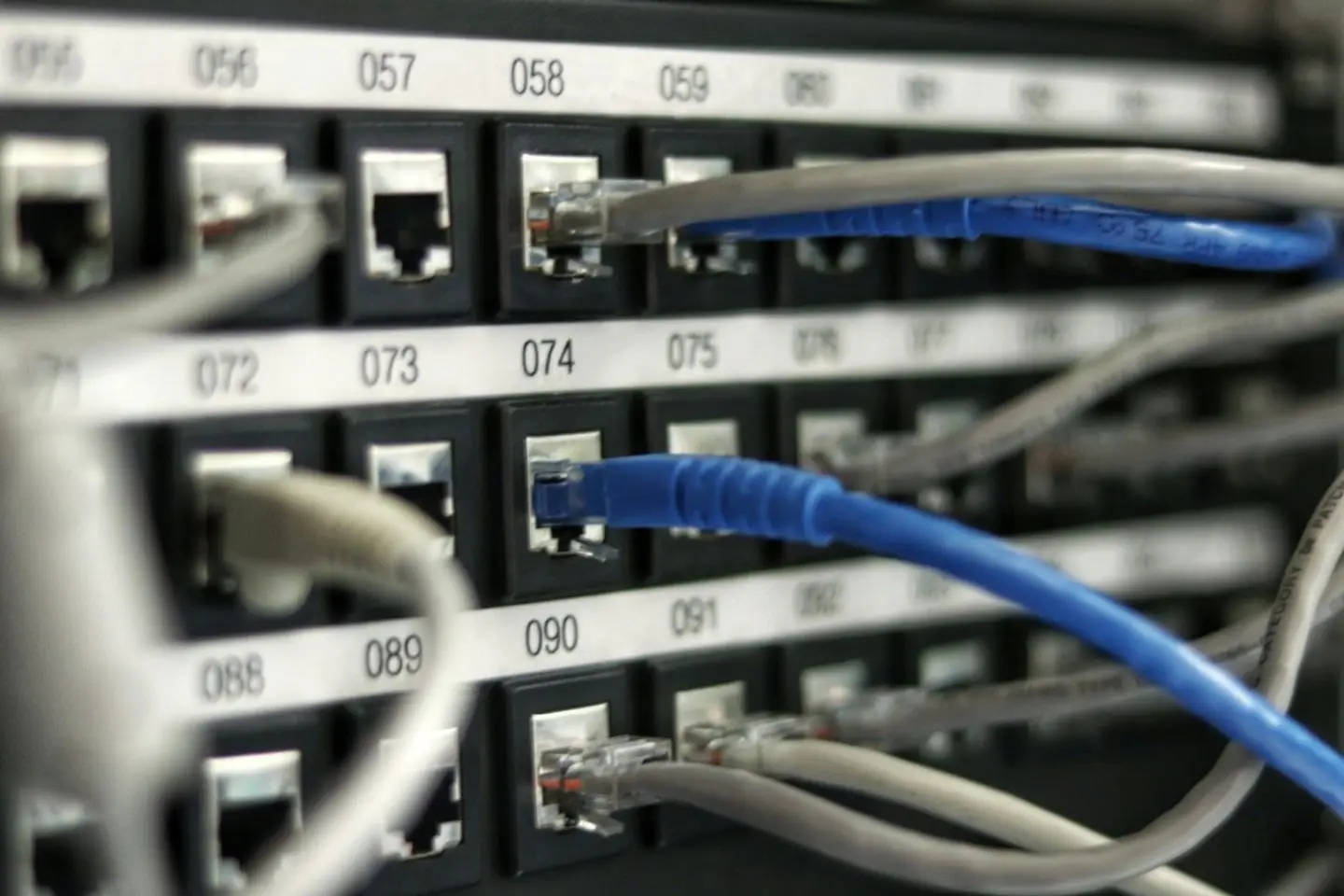 Netzwerk-Patchfeld mit gesteckten Kabeln